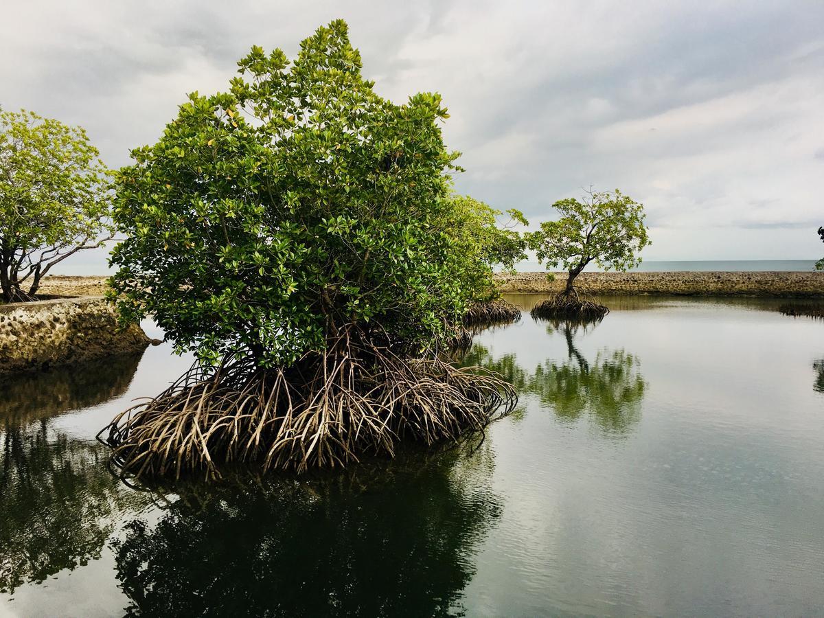 Costa Aguada Island Resort, Inampulugan Island, Sibunag, ギマラス エクステリア 写真